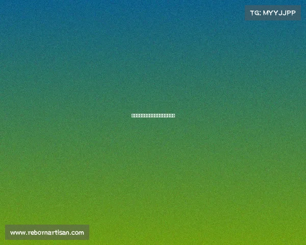 赛事参赛者心声:挑战自我,荣耀征程